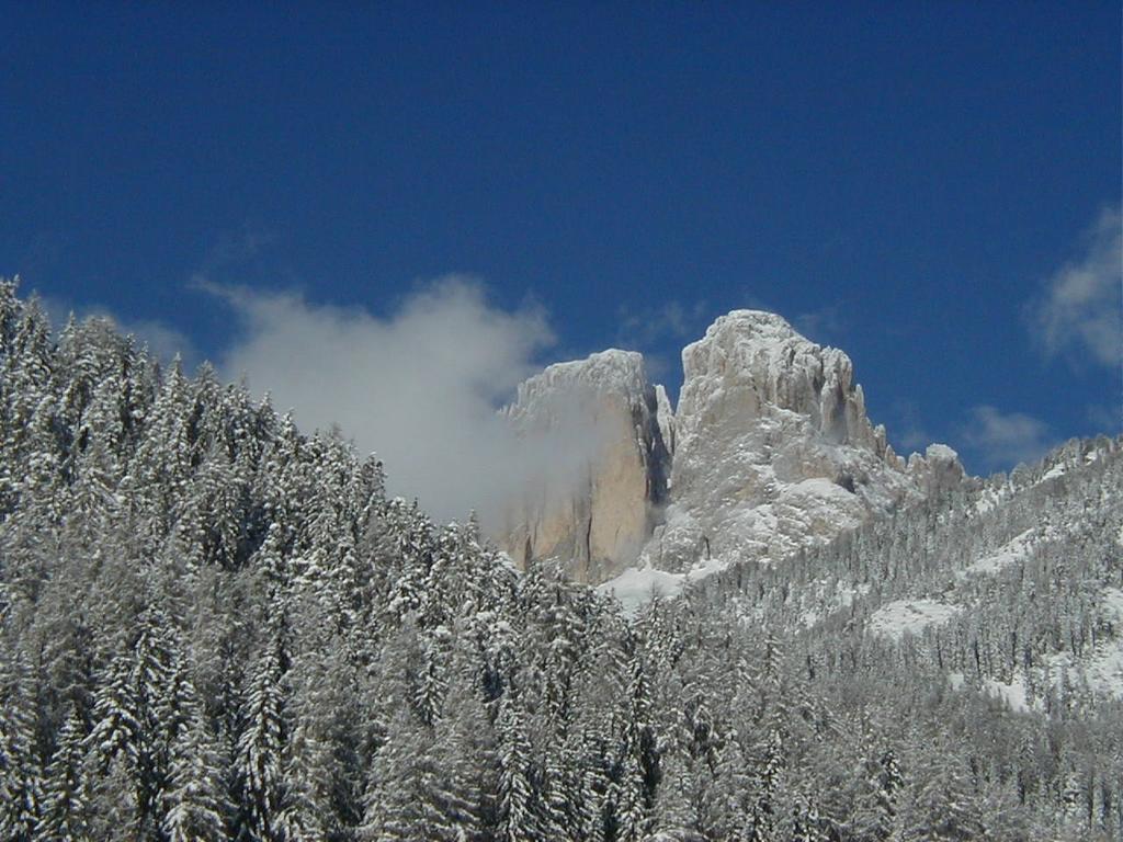 Col Rodella Apartment Campitello di Fassa Phòng bức ảnh